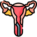 Endometriosis Surgery